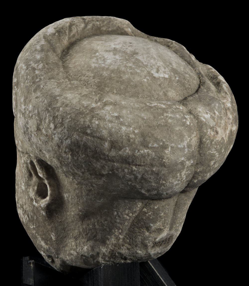 Inv 486529_05.jpg