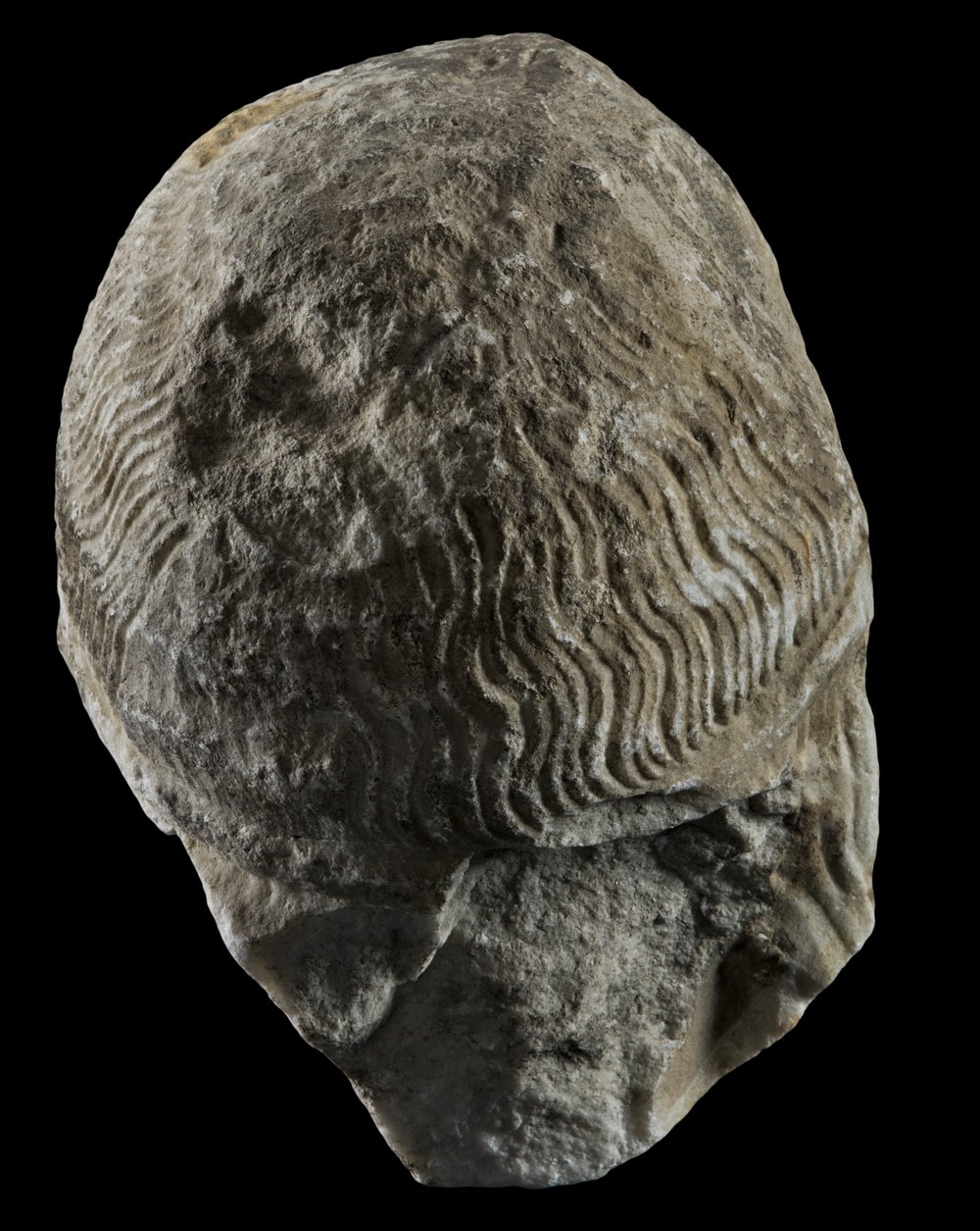 Inv 486726_04.jpg
