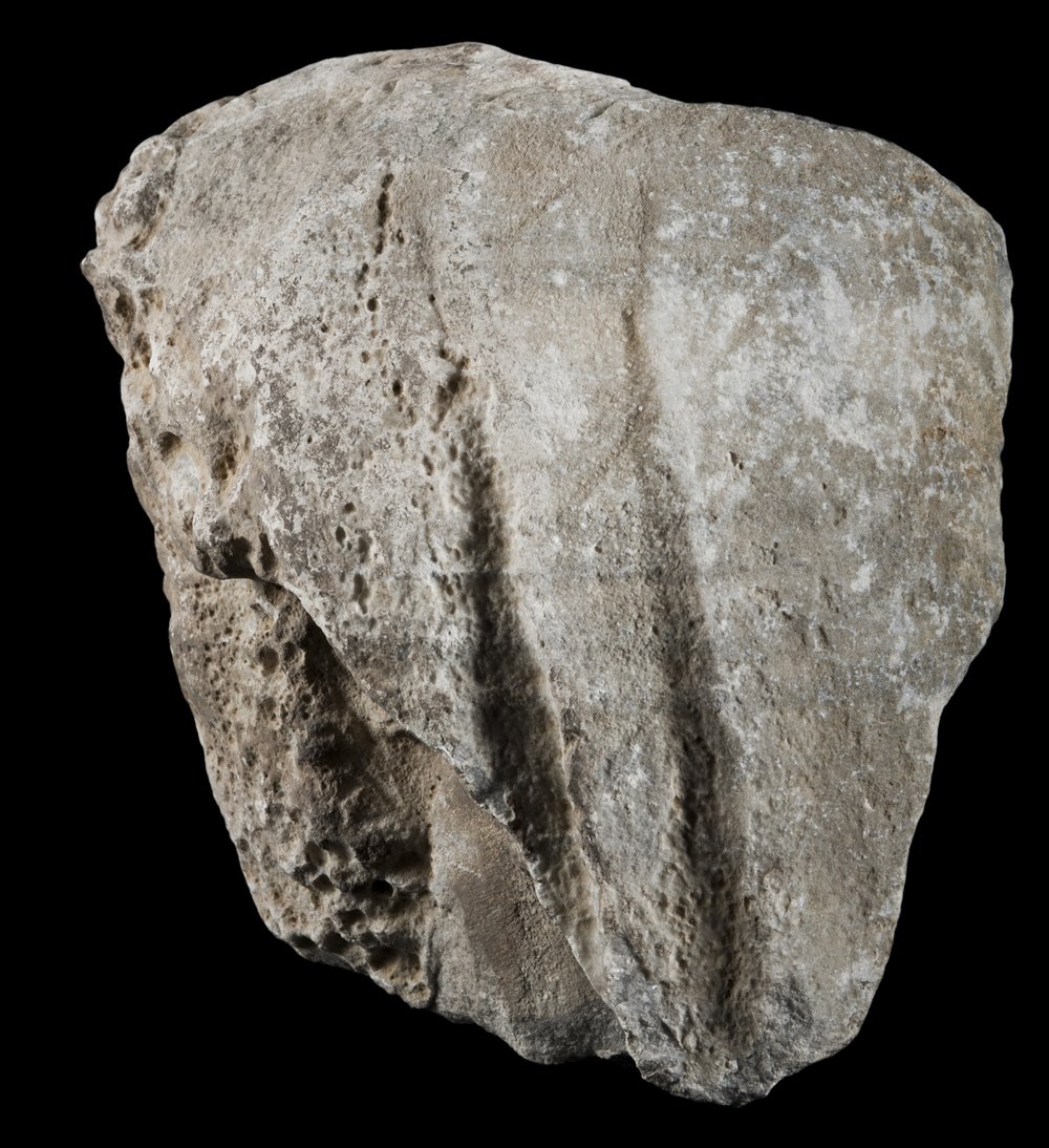 Inv Pal_20193_01.jpg