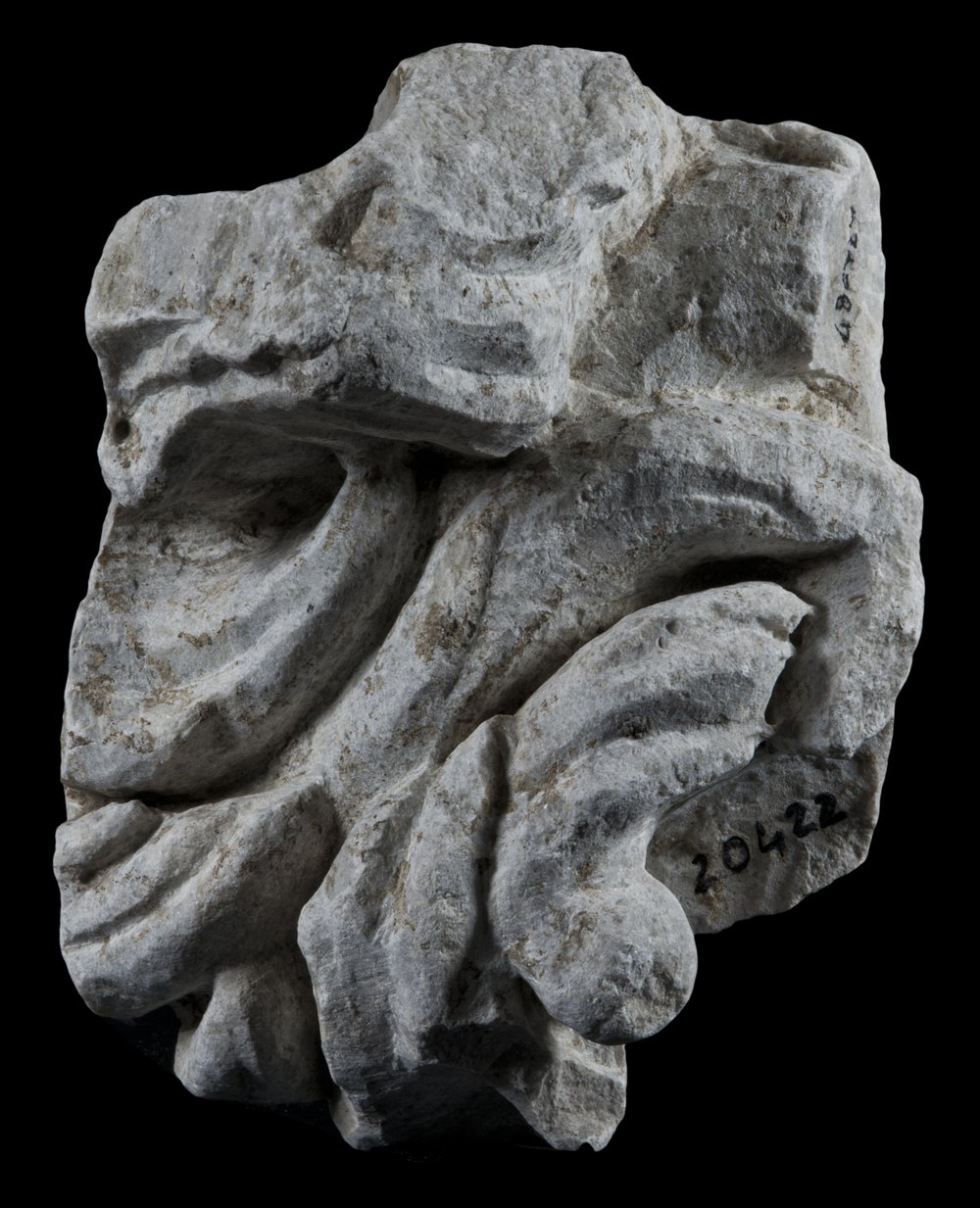 Inv 486727_00.jpg