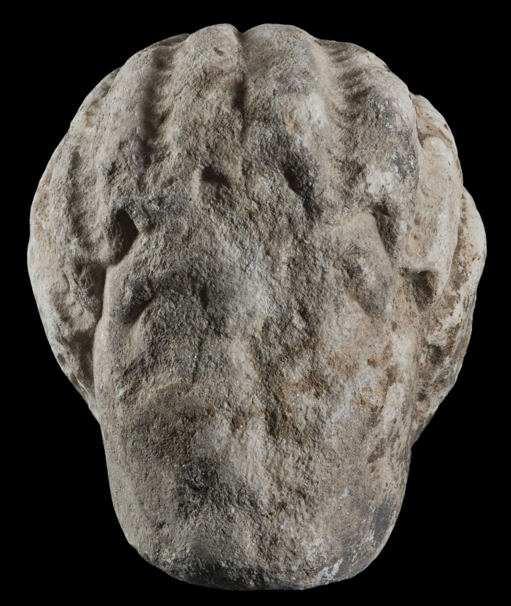 Inv 486507_00.jpg