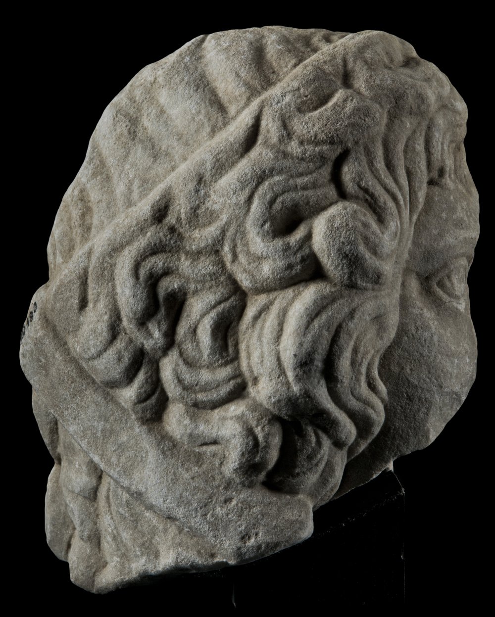 Inv 486486_00.jpg