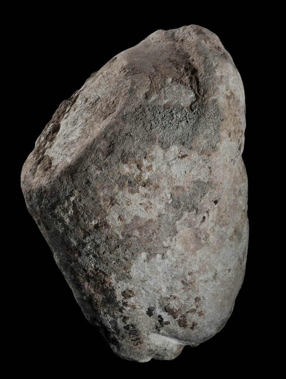 Inv 486501_05.jpg