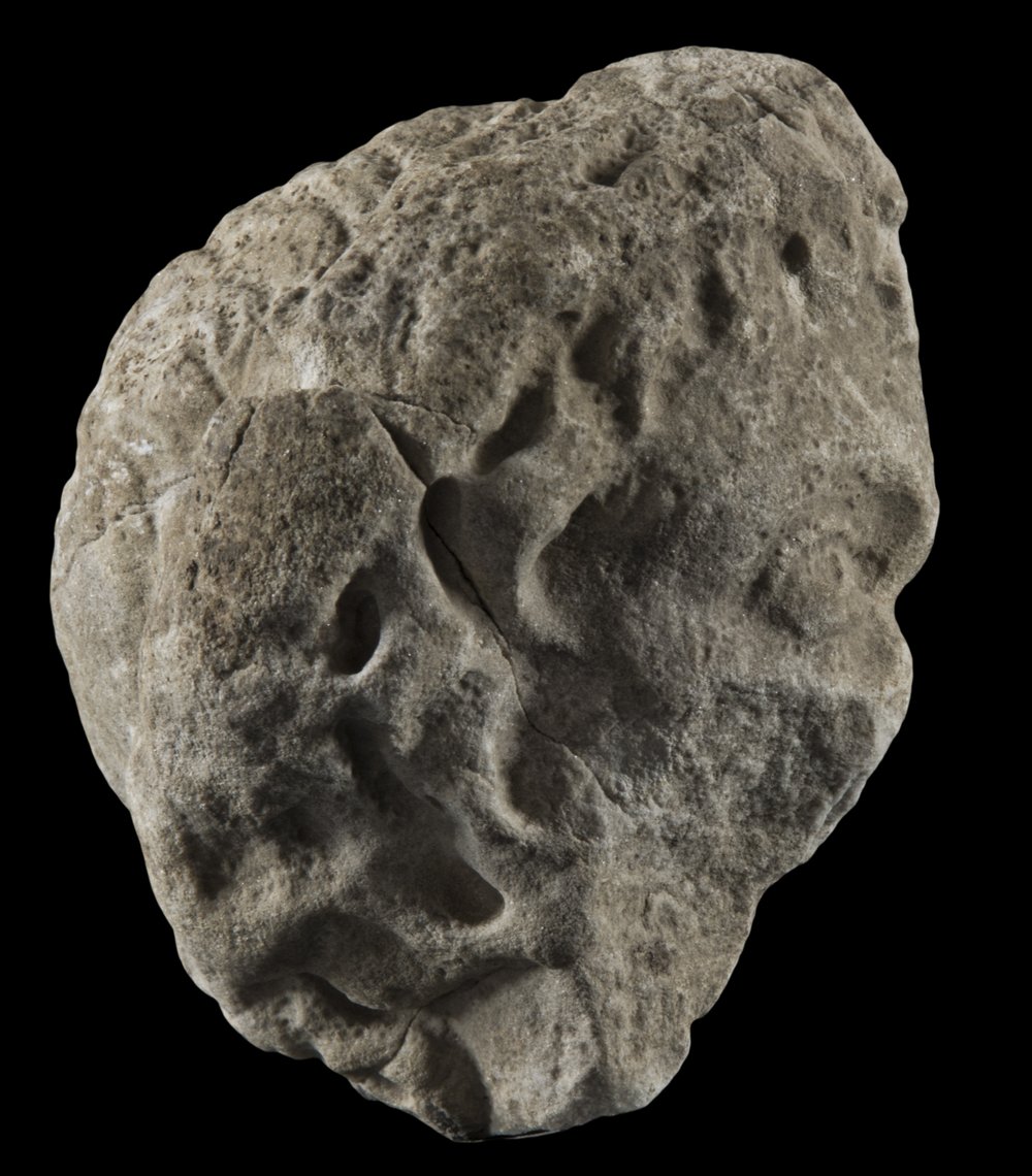 Inv 373419_01.jpg