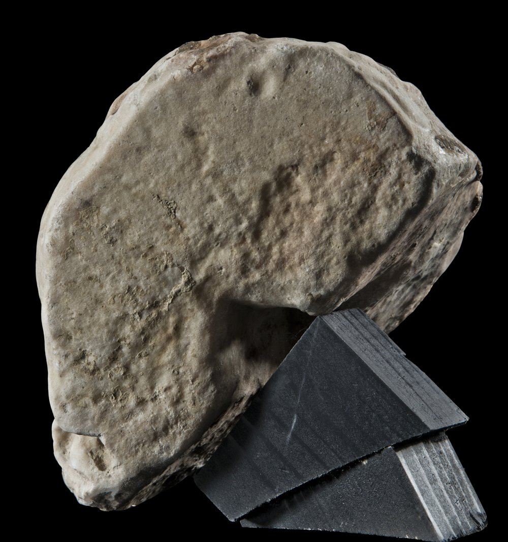 Inv 486535_00.jpg