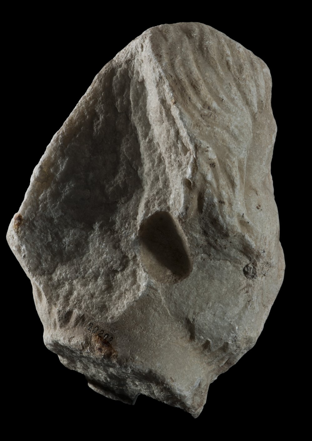 Inv 486508_03.jpg