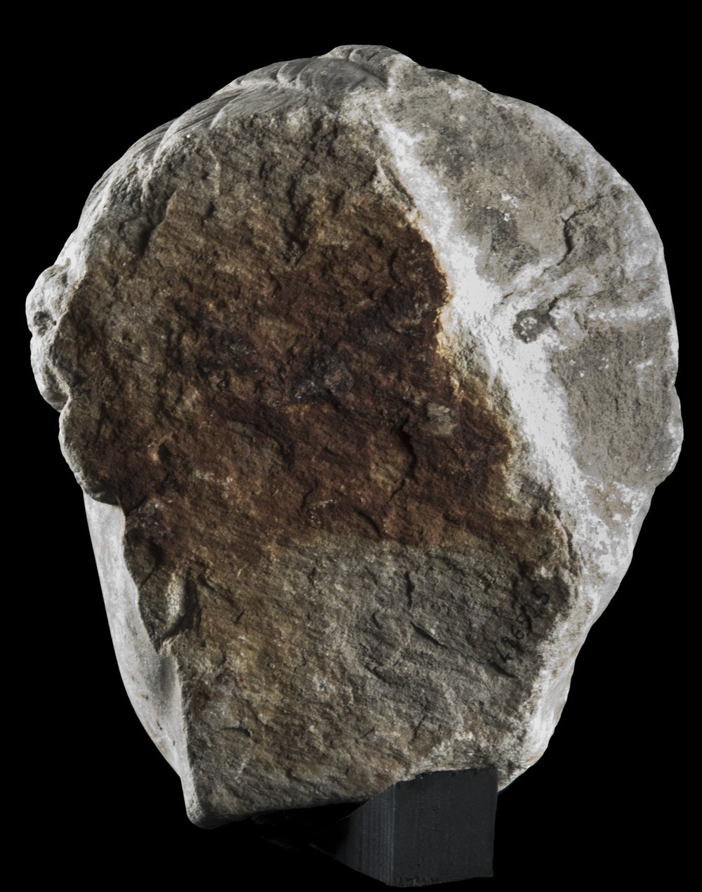 Inv 486525_03.jpg