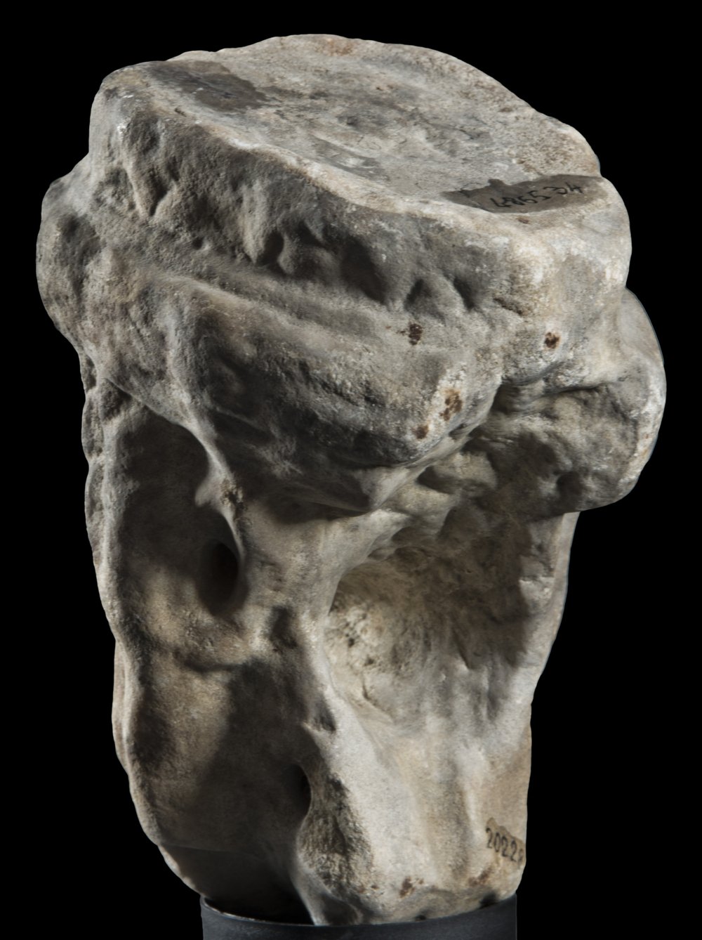 Inv 486534_03.jpg