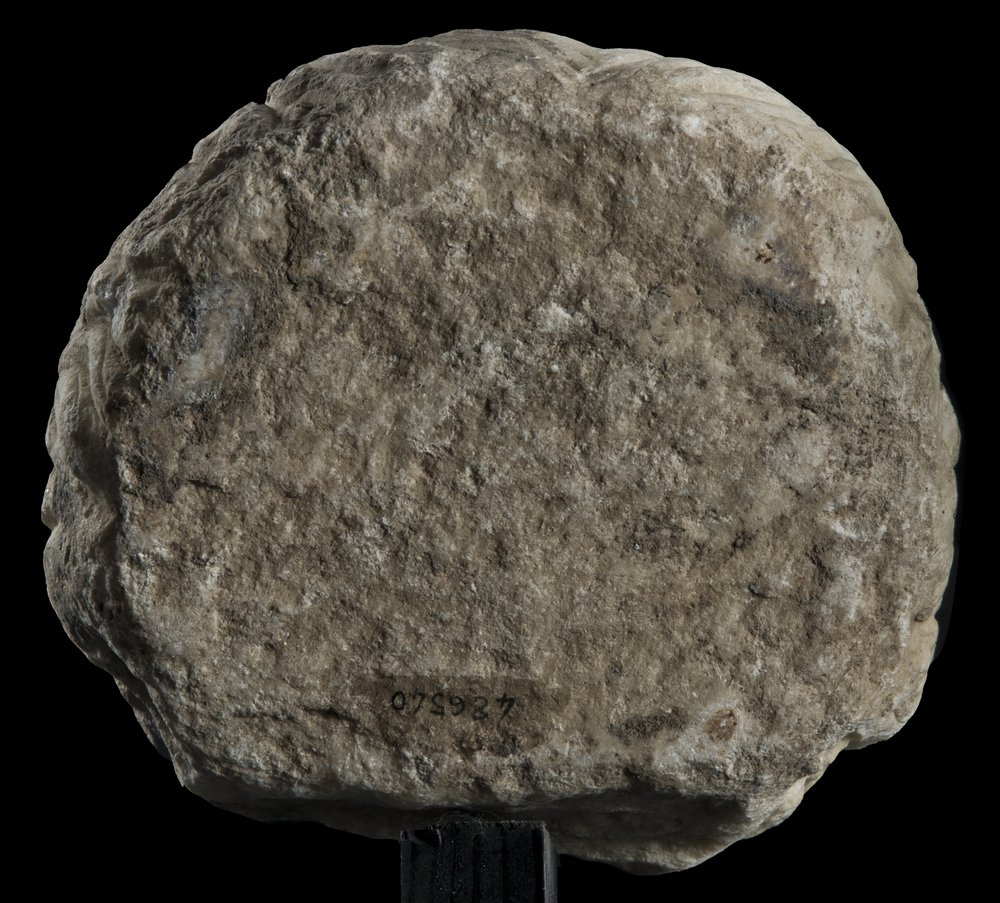 Inv 486540_00.jpg