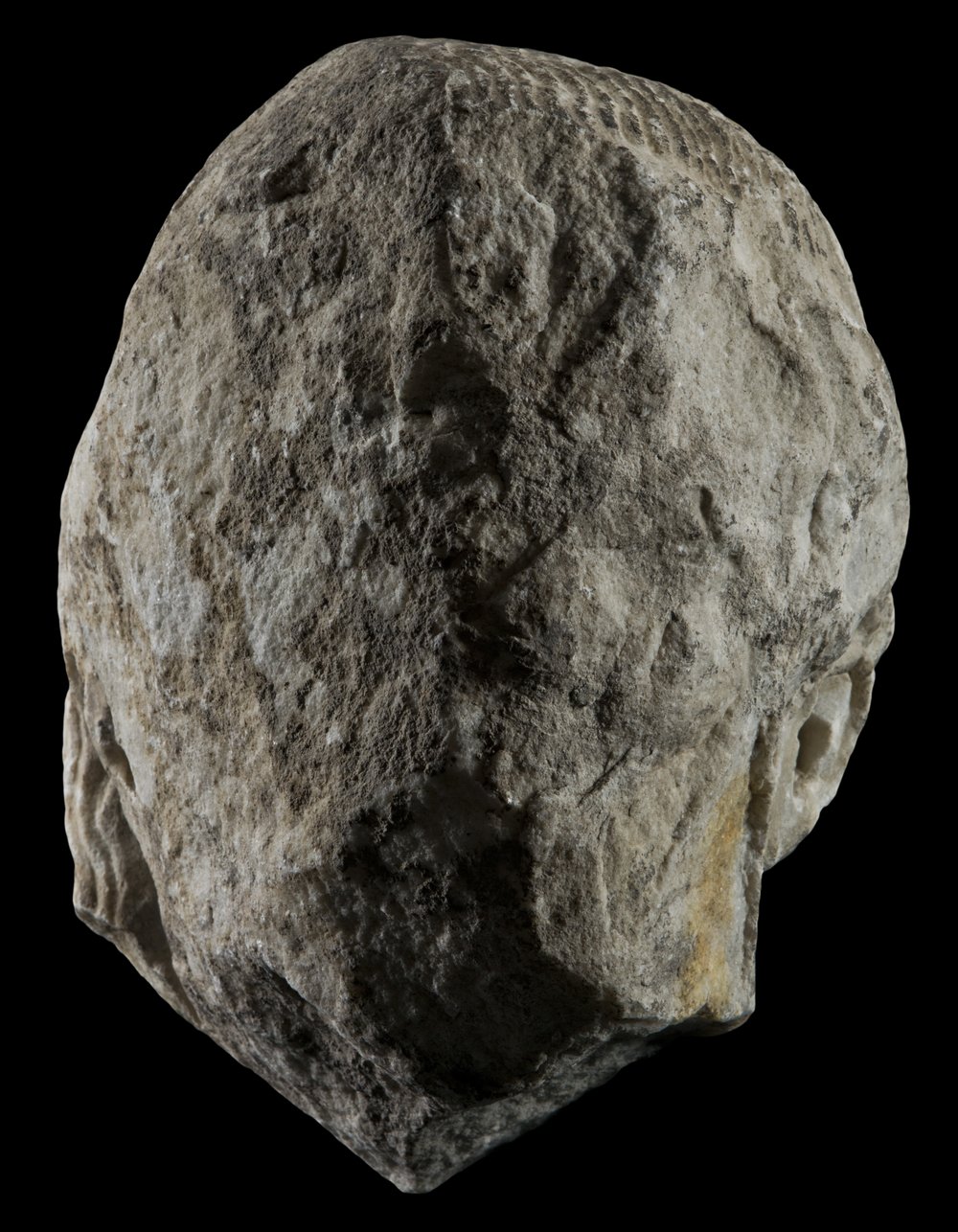 Inv 486726_00.jpg