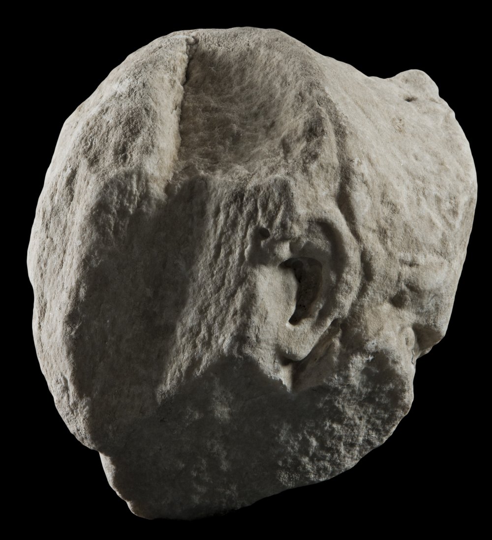 Inv 486487_02.jpg