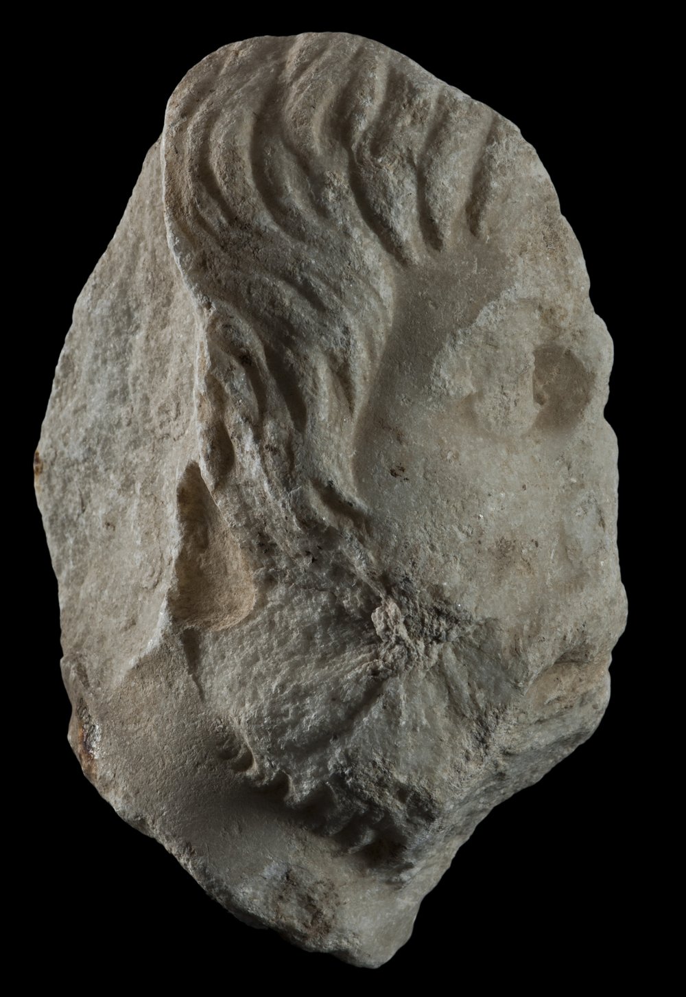 Inv 486508_02.jpg