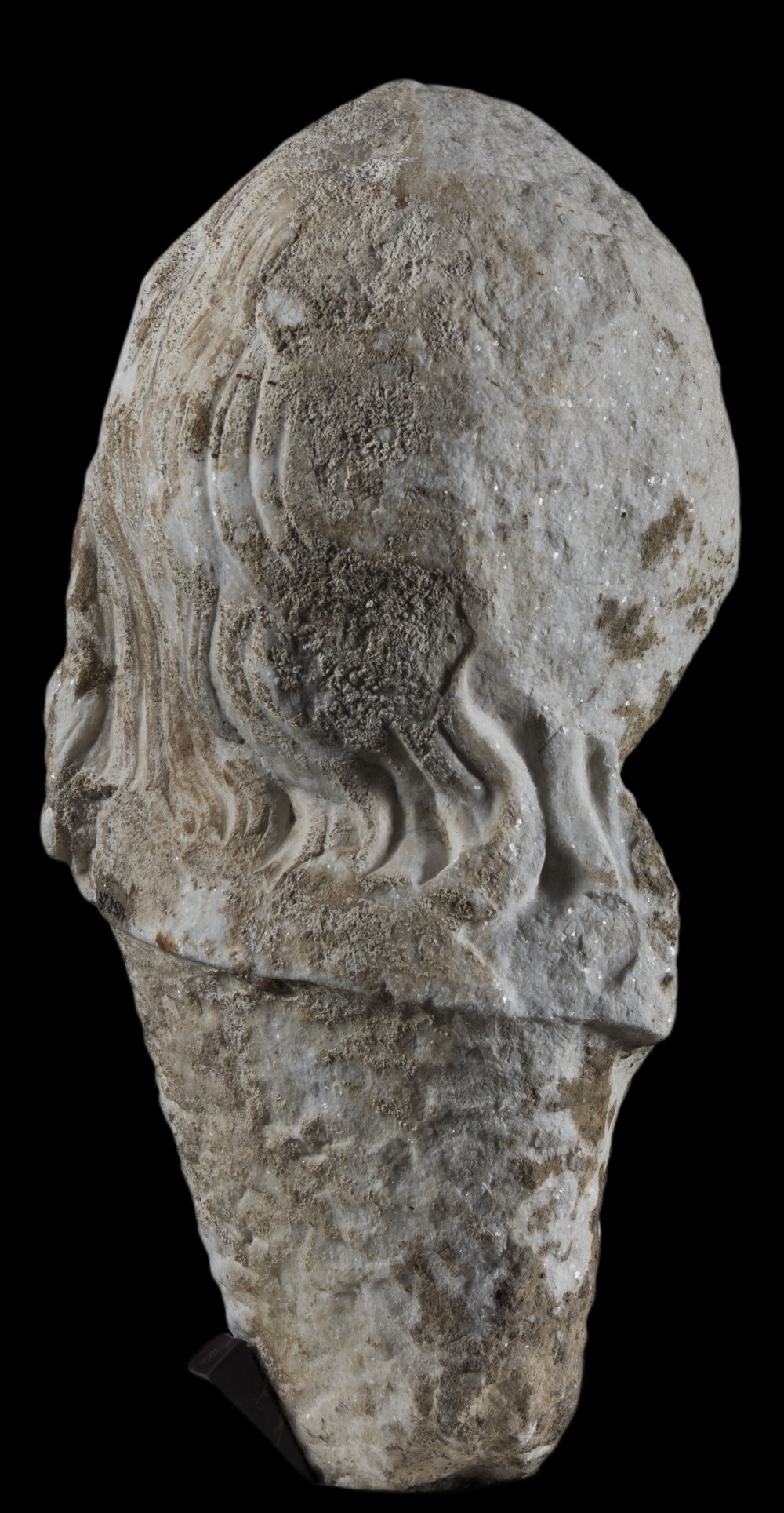 Inv 381587_03.jpg