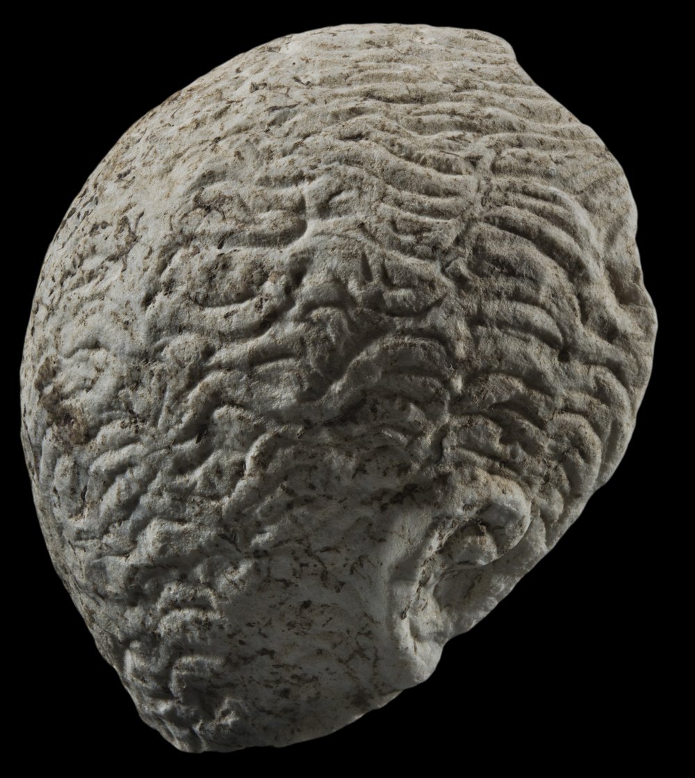 Inv 52680_04.jpg