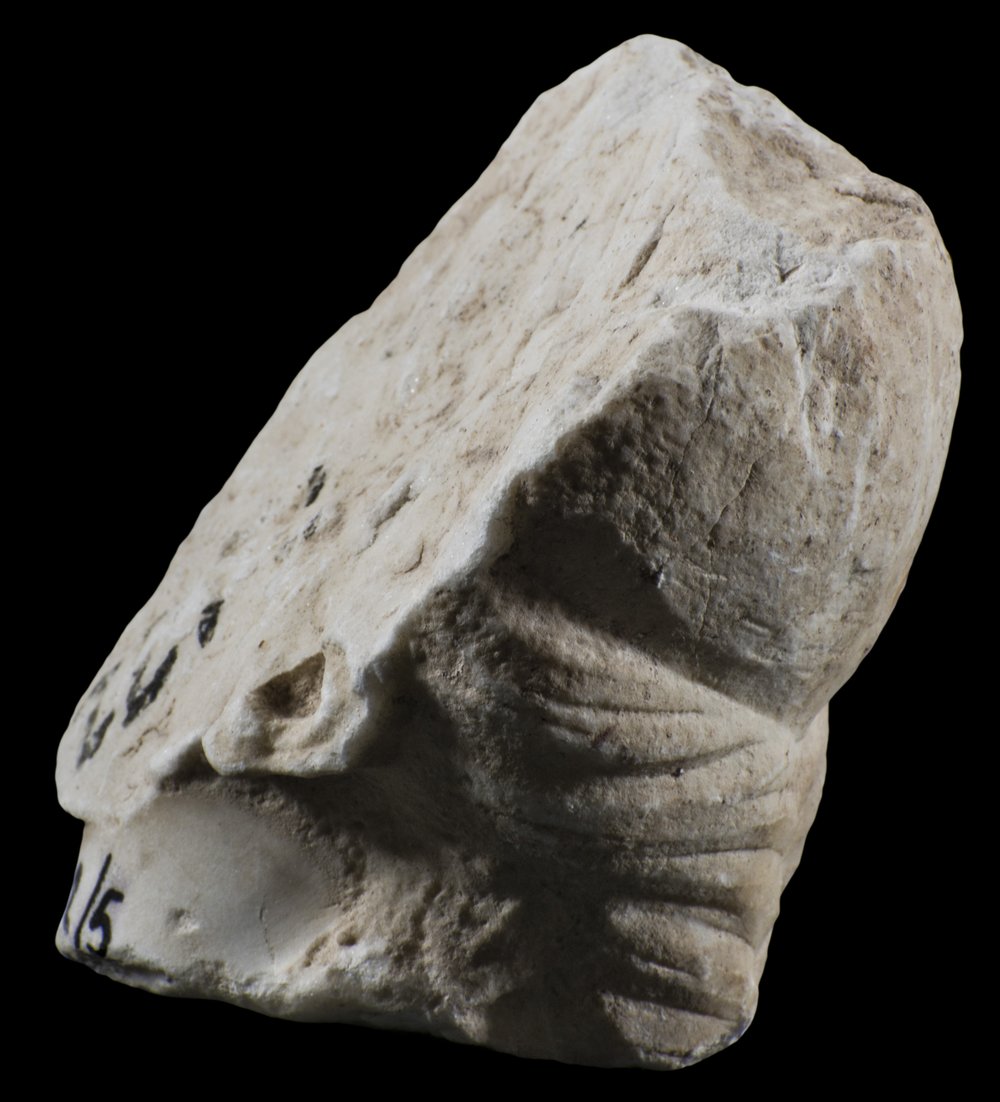 Inv 52792_5_03.jpg