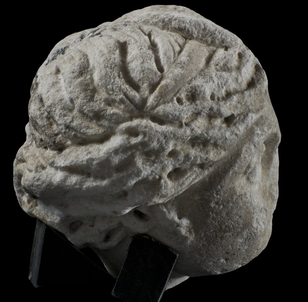 Inv 52656_03.jpg