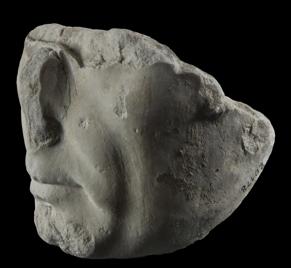 Inv 486484_03.jpg