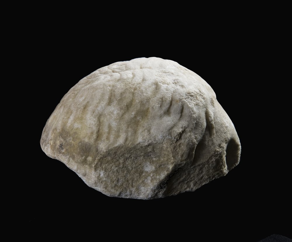 473052_4.jpg