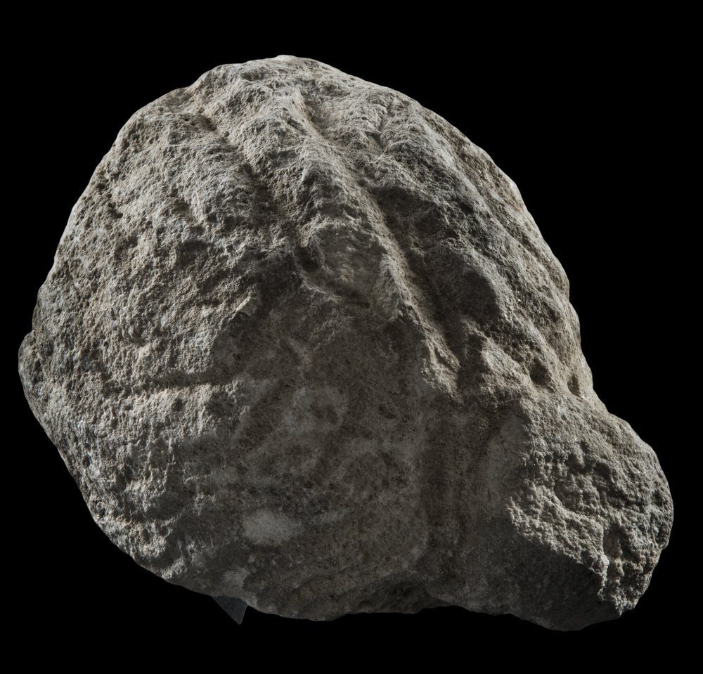 Inv 486547_04.jpg