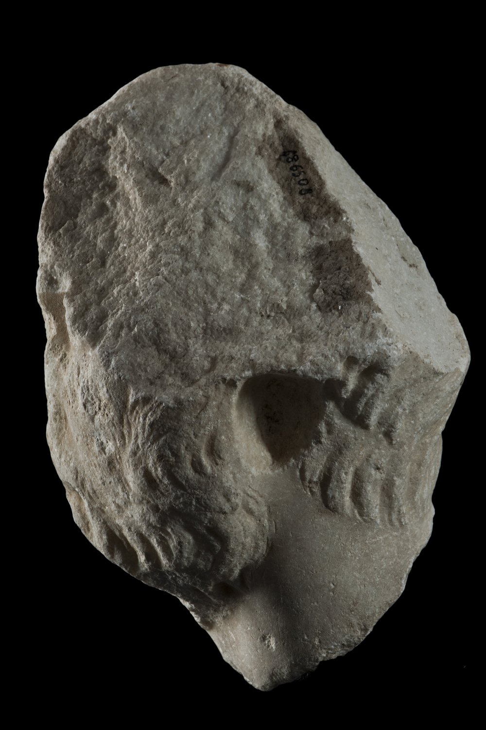 Inv 486508_05.jpg