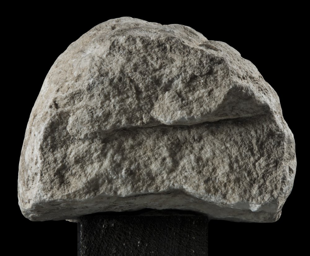 Inv 486547_00.jpg
