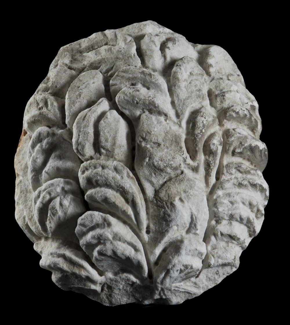 Inv 486503_00.jpg