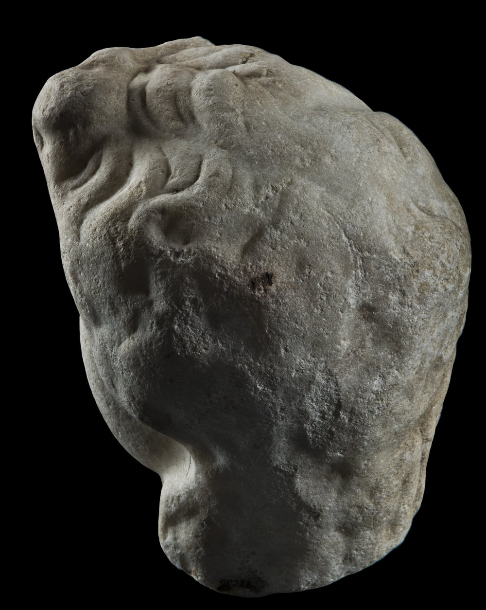 Inv 486532_05.jpg