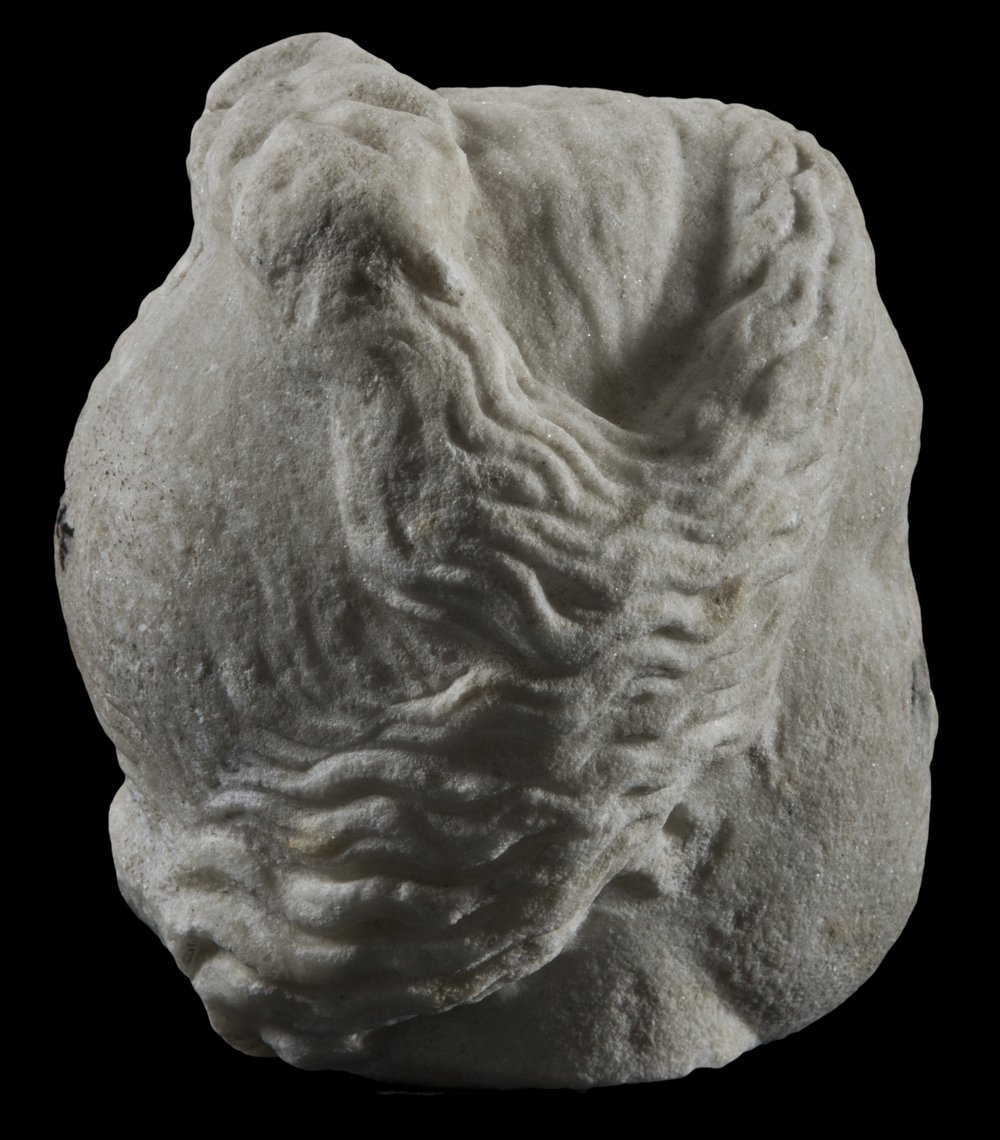 Inv 373619_03.jpg