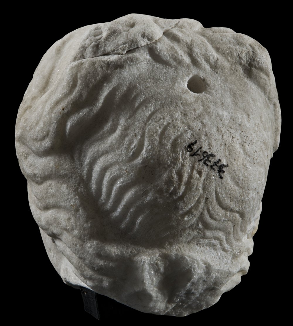 Inv 373619_06.jpg