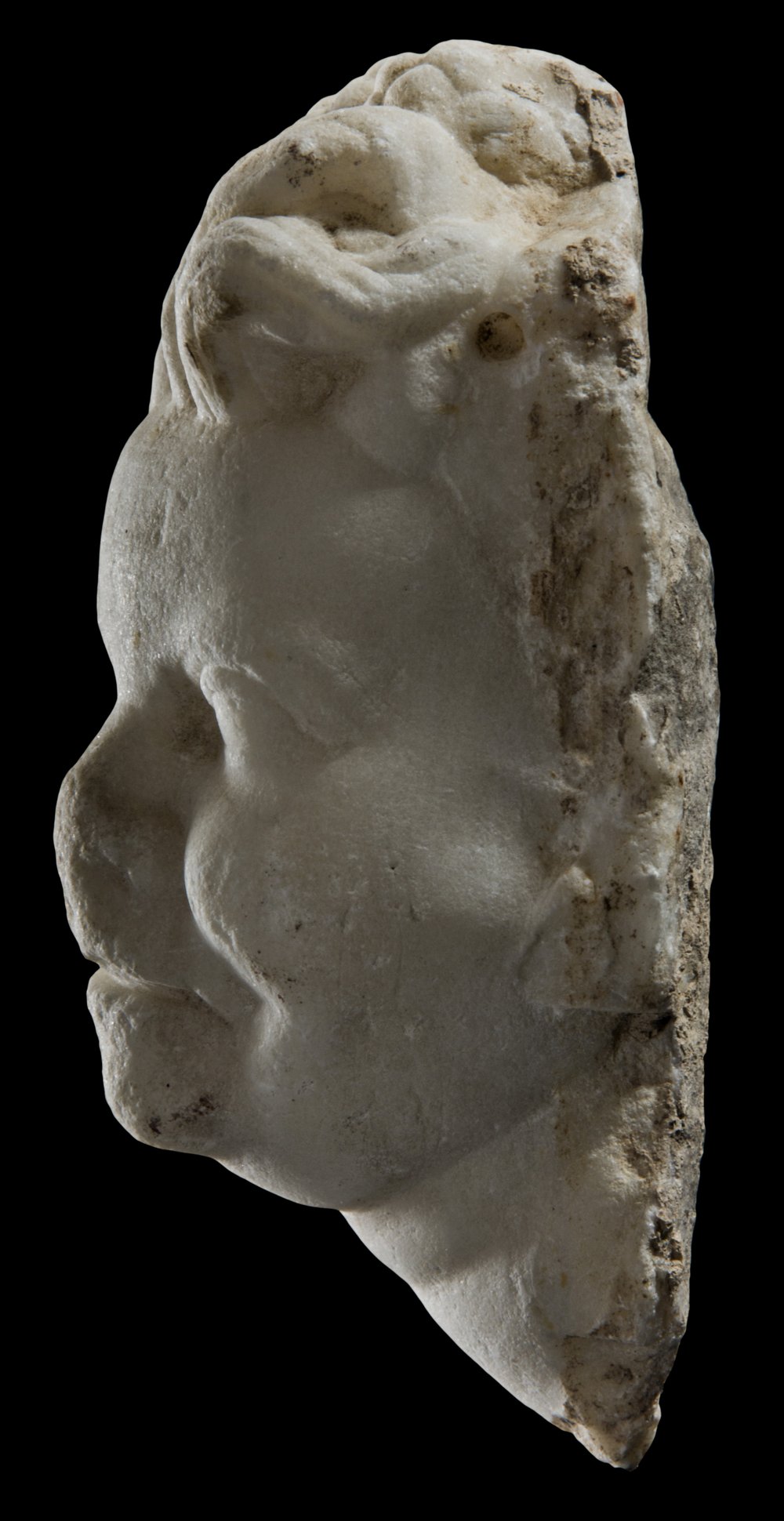 Inv 373622_04.jpg