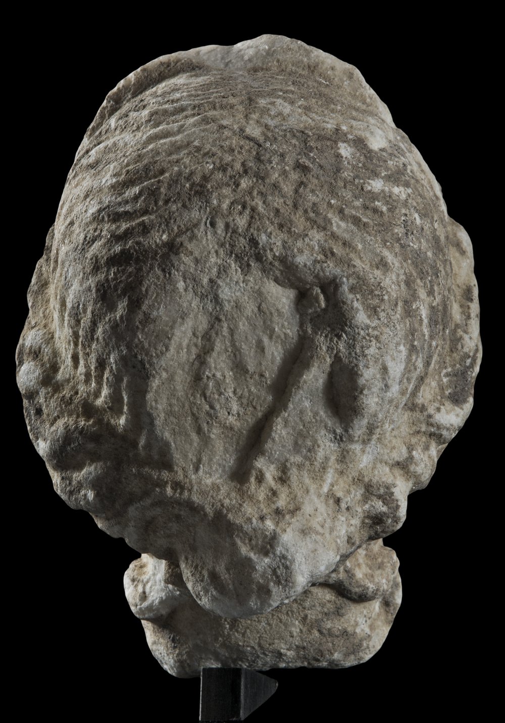 Inv 486549_06.jpg