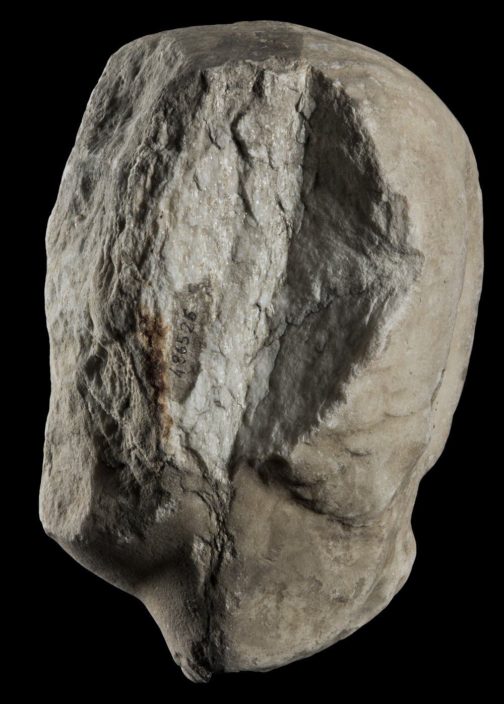 Inv 486526_02.jpg