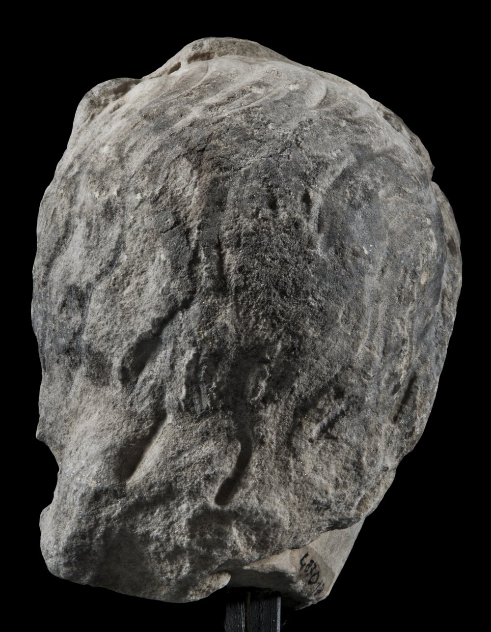 Inv 487018_05.jpg