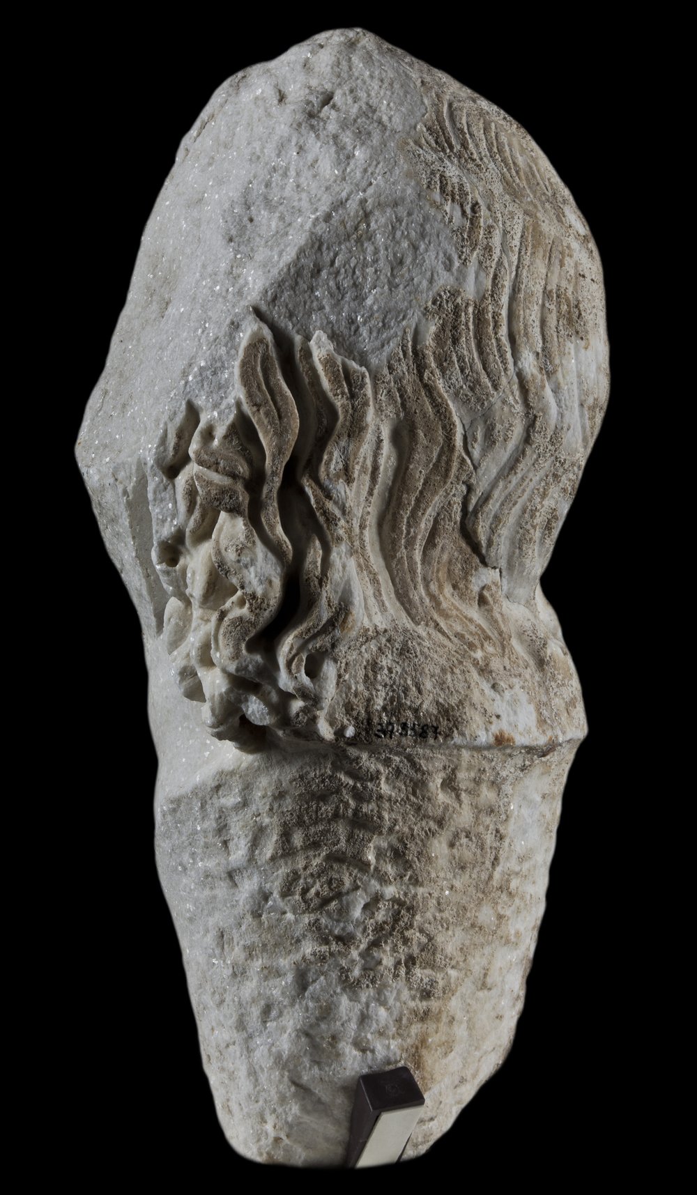 Inv 381587_05.jpg