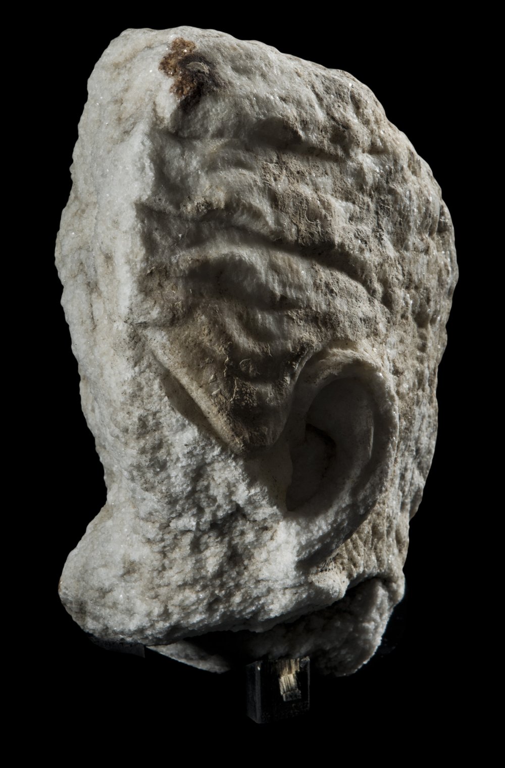 Inv 486541_00.jpg