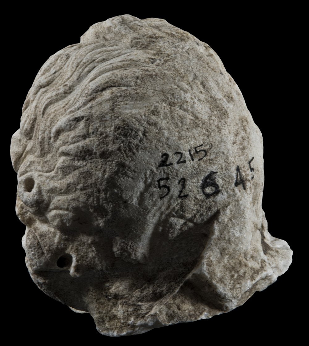 Inv 52645_04.jpg