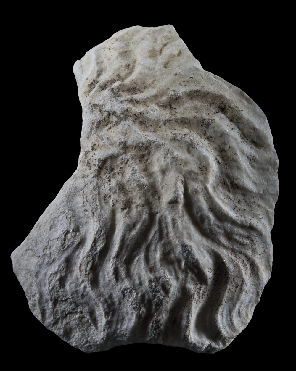 Inv 396724_00.jpg