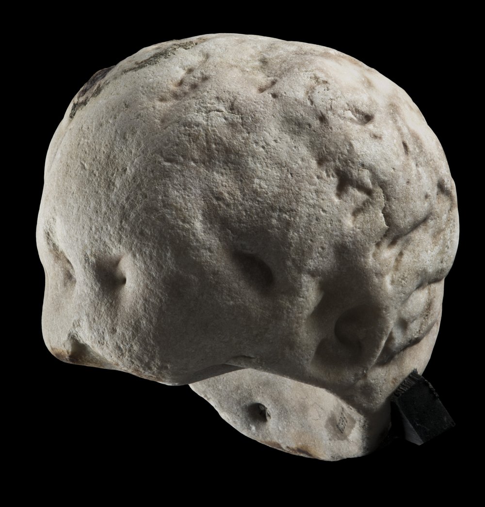 Inv 486528_01.jpg