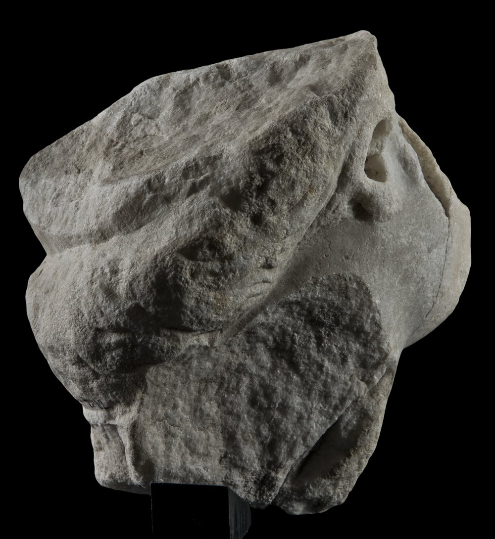 Inv 486488_02.jpg