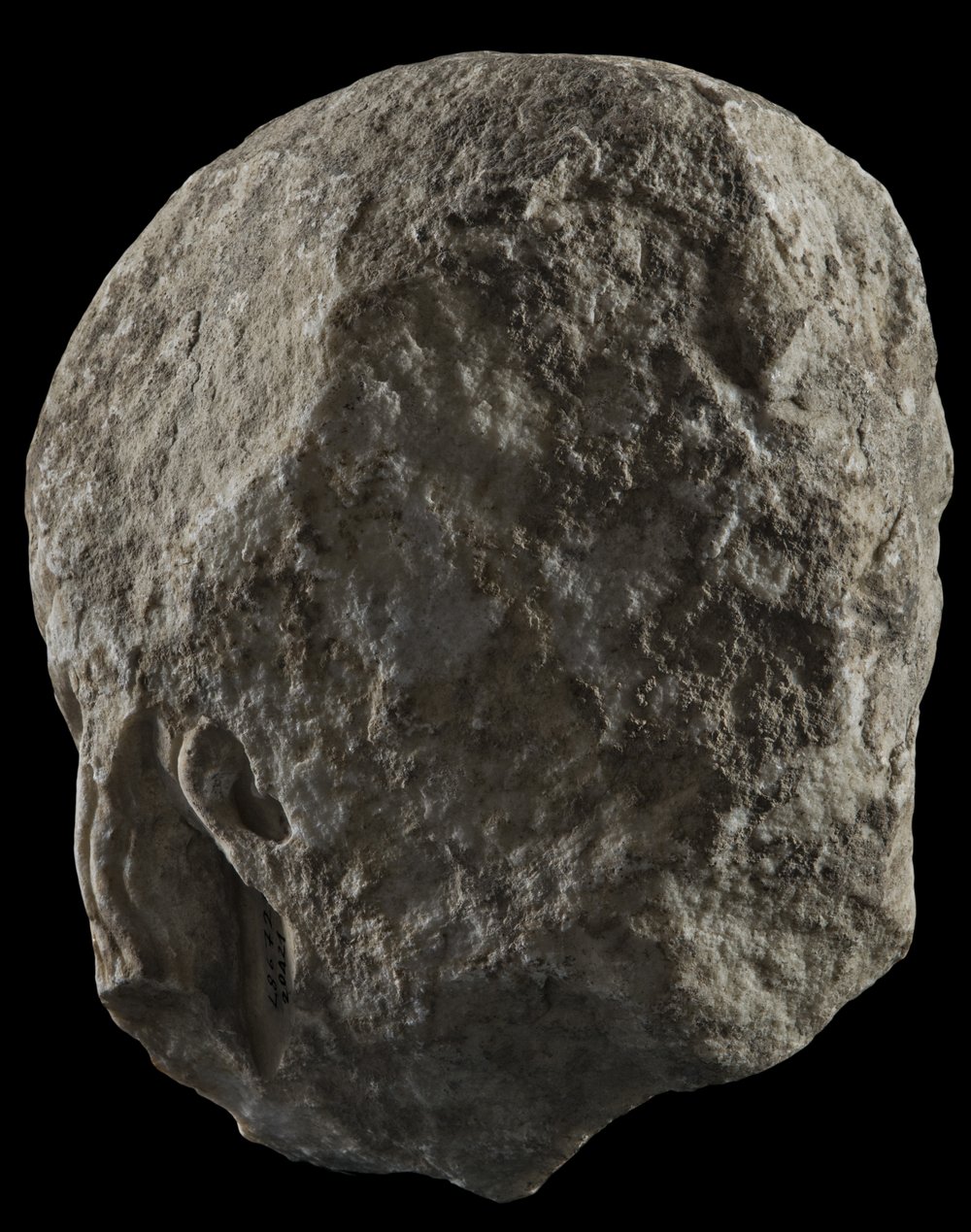 Inv 486726_01.jpg