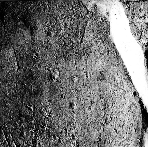 007654 - monumento - Palatino, Domus Tiberiana, ambienti sul Clivus Victoriae, piano terra, graffiti nella parte interna del vano destro dell'ingresso n. 3; neg. serie 6x6, n. 1016