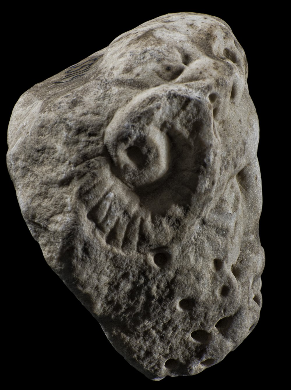 Inv 55119_03.jpg
