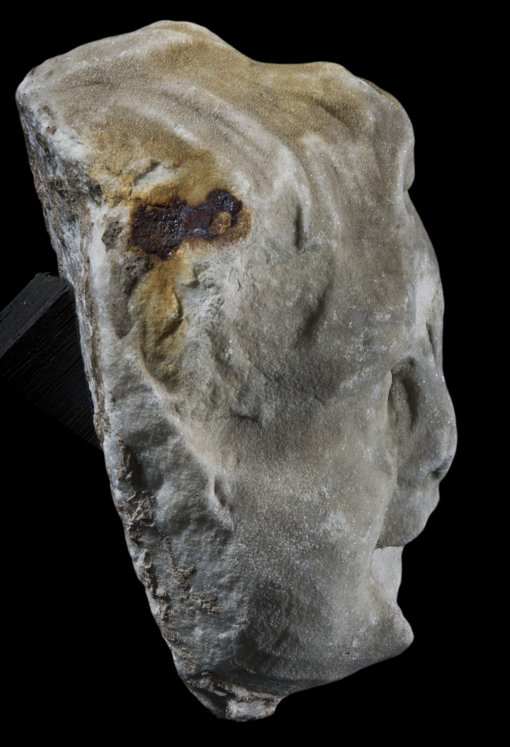 Inv 379558_03.jpg