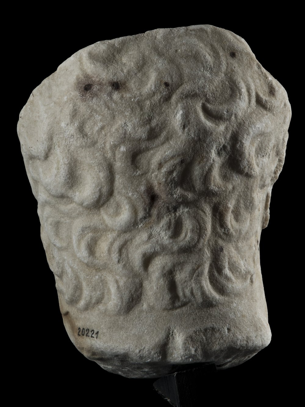 Inv 486527_03.jpg