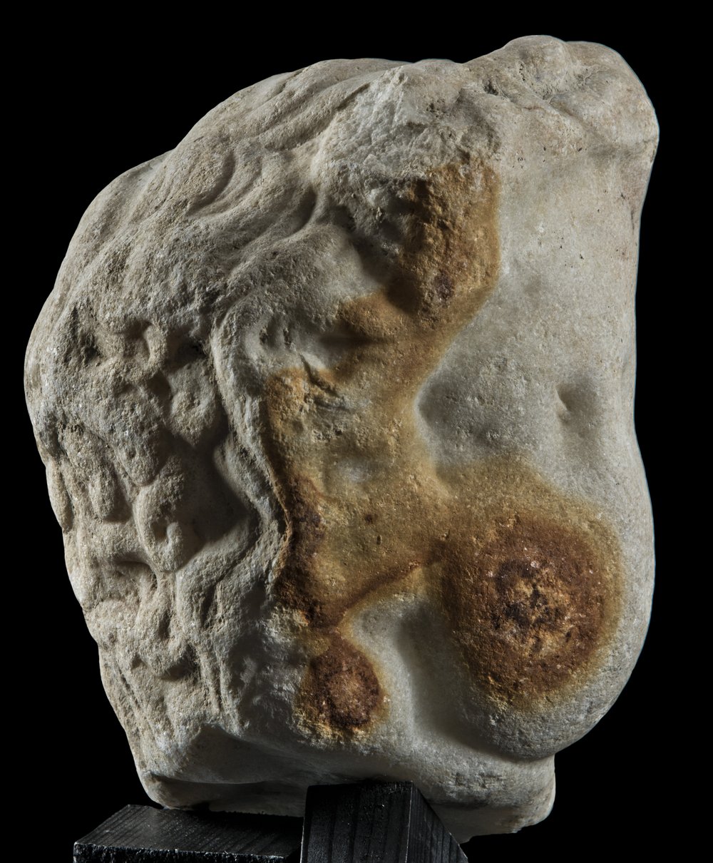 Inv 486532_08.jpg