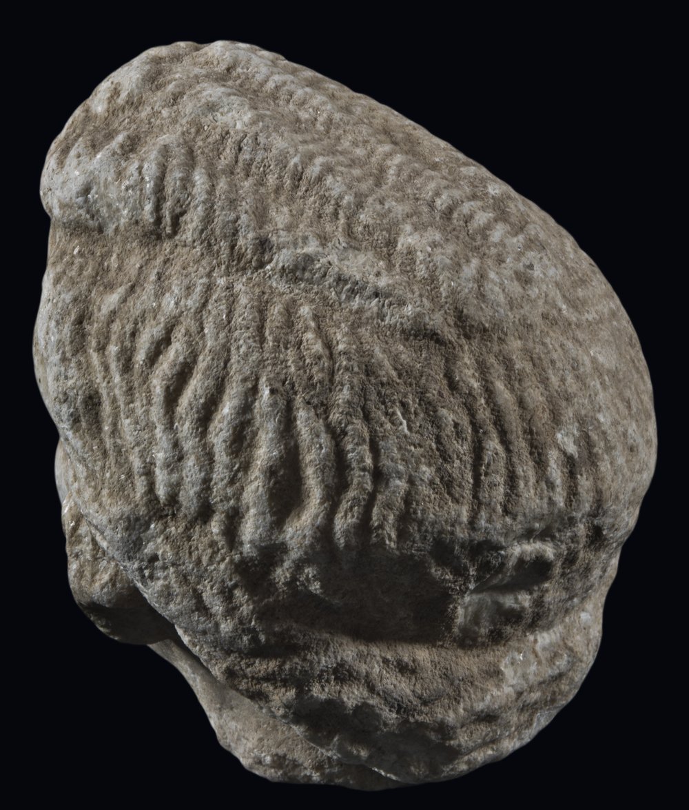 Inv 52648_05.jpg