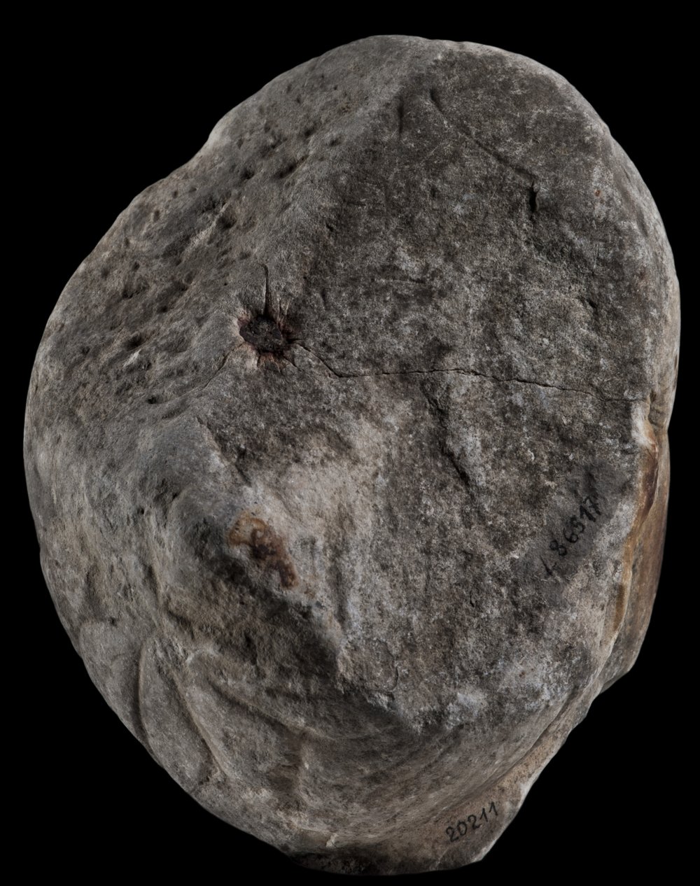 Inv 486517_06.jpg