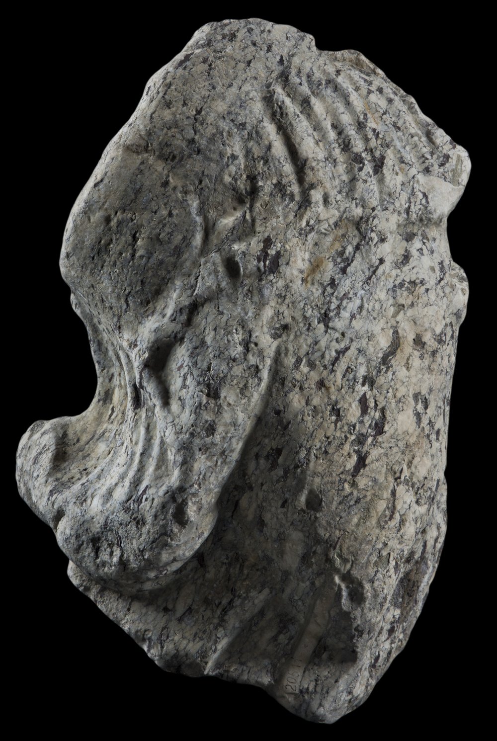 Inv 486816_02.jpg