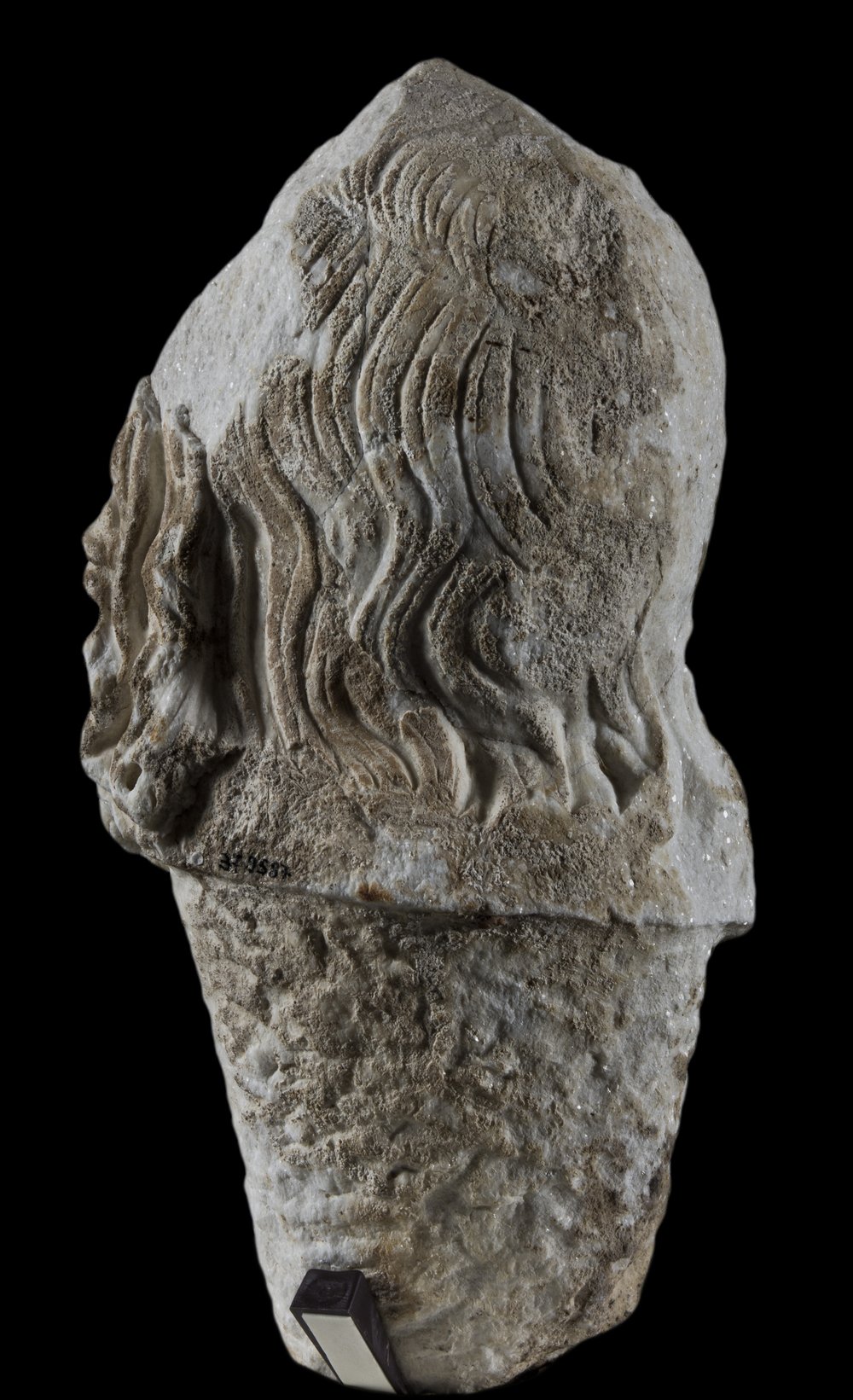 Inv 381587_04.jpg
