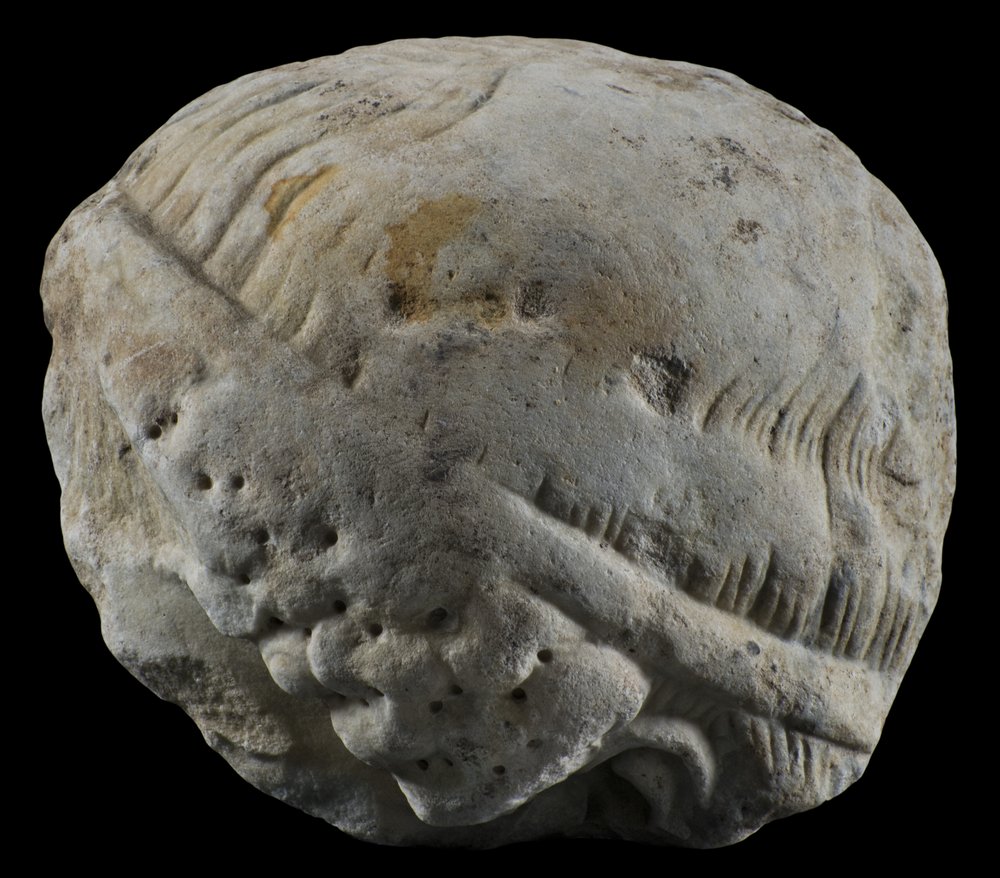 Inv 52792_2_00.jpg